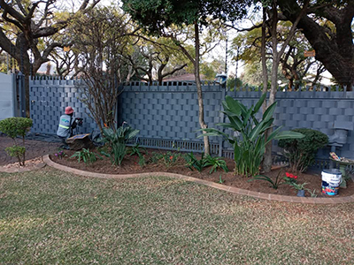 Palisade Fence Weaving